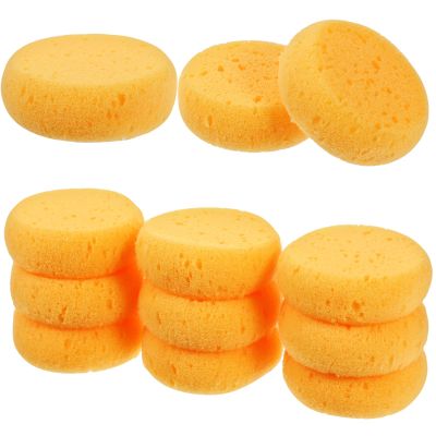 Hpmjz 12 Pack Round Sponges