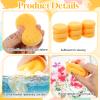 Hpmjz 12 Pack Round Sponges view 3