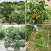 TXLEAPEY 3-Pack Square Tomato Cages, Weather-Resistant, Height-Adjustable view 3