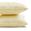 Fabric Mart Direct Cream Faux Silk Lumbar Pillow Covers, 2-Pack, 30 x 35 cm view 3