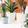 Self-Watering Spikes with 6 Automatic Watering Drippers view 2
