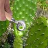 Cactus Peeler - Handy Pasta Cutter view 2