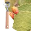 Cactus Peeler - Handy Pasta Cutter view 3