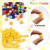 TOAOB 300 Pcs 15mm Colorful Pom Poms for Crafting view 4