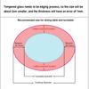 Black Tempered Glass Lazy Susan Serving Tray view 3