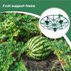 Watermelon Cradles, 10-Piece Stackable Plant Supports view 3