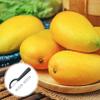 Peeler Set with 2 Replacement Blades, Dark Gray view 3