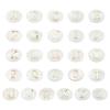 PH PandaHall 26 pcs Oval Shell Beads view 1