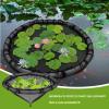 Floating Plant Ring on Pond Water Surface, 45 cm view 2