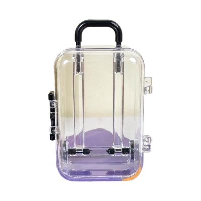 Ldabrye Small Doll Case