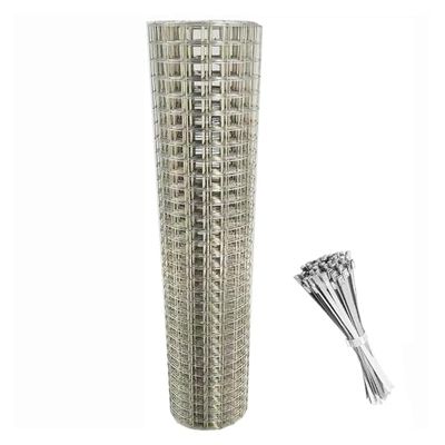 Welded Stainless Steel Wire Mesh for Garden Fencing and Protection