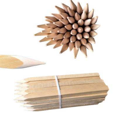Square Beech Wood Stakes, 25 Pack, 80 cm, 25 x 25 mm