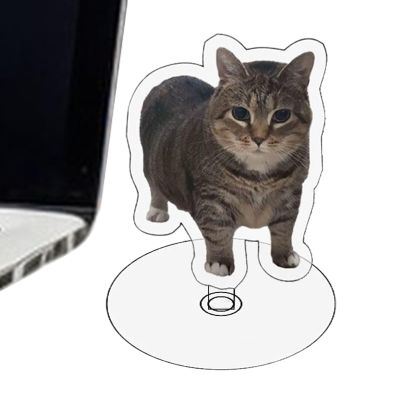 Liakyunf Acrylic Spinning Cat