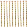 GALPADA 10-Piece Spiral Carbon Steel Ground Stakes view 1