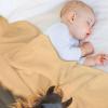 LTTTT Horse Blanket, Four-Season Soft Flannel Throw Blanket, 180 × 200 cm view 4