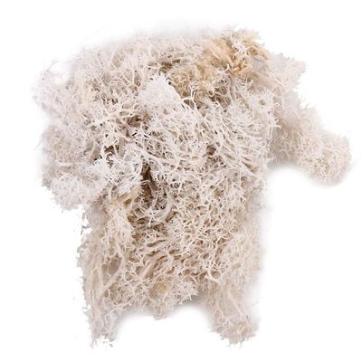 Artificial Moss for Crafts