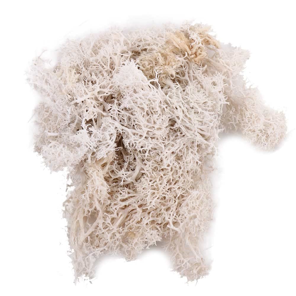 Artificial Moss for Crafts