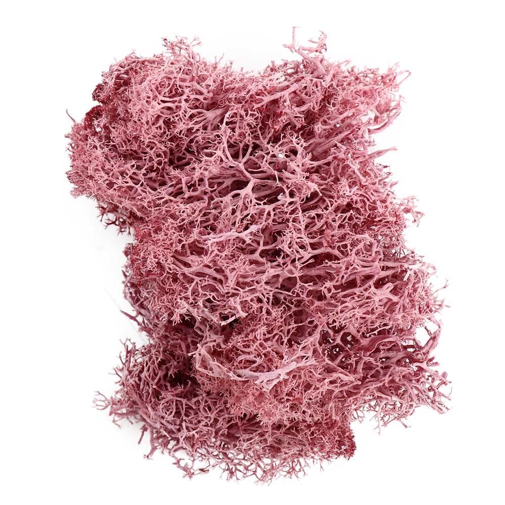 Artificial Moss for Crafts