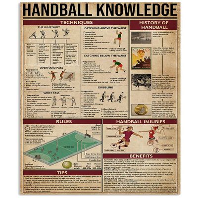 Metal Tin Sign with Handball Facts, 12 x 18 in