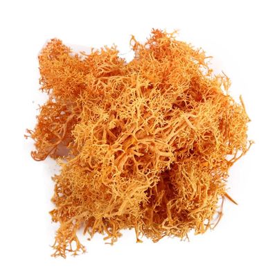 Artificial Moss for Crafts