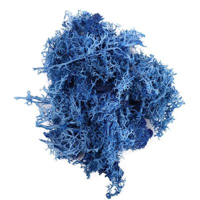 Artificial Moss for Crafts