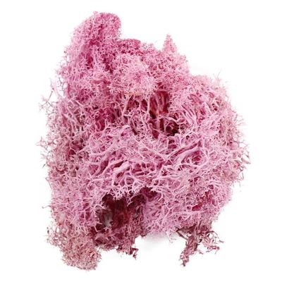Artificial Moss for Crafts