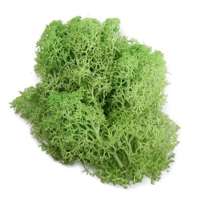 Artificial Green Plants - Moss Grass