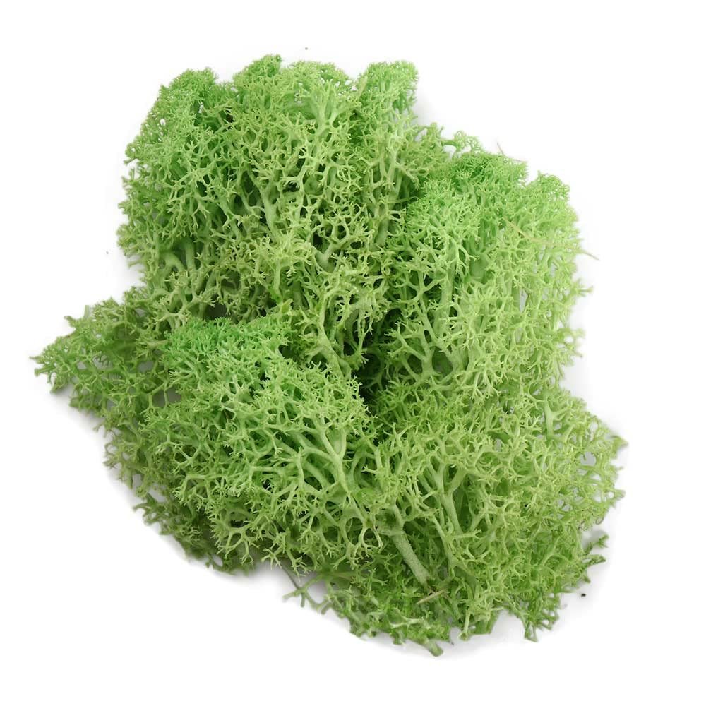 Artificial Green Plants - Moss Grass