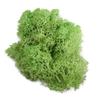 Artificial Green Plants - Moss Grass view 1