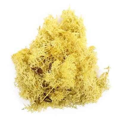 Artificial Green Plants - Moss Grass