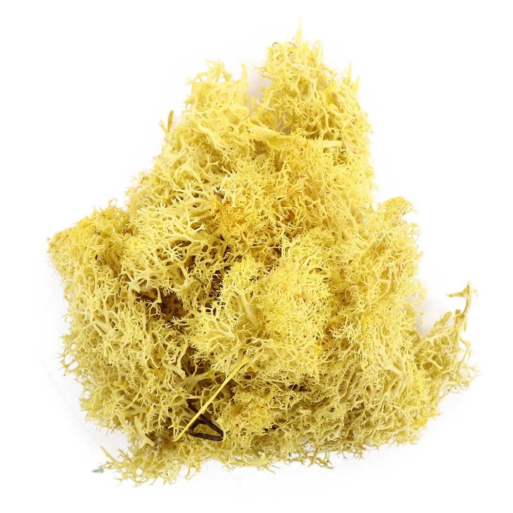 Artificial Green Plants - Moss Grass