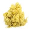 Artificial Green Plants - Moss Grass view 1