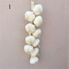 Artificial Garlic and Onion String view 1