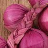 Artificial Garlic and Onion String view 3