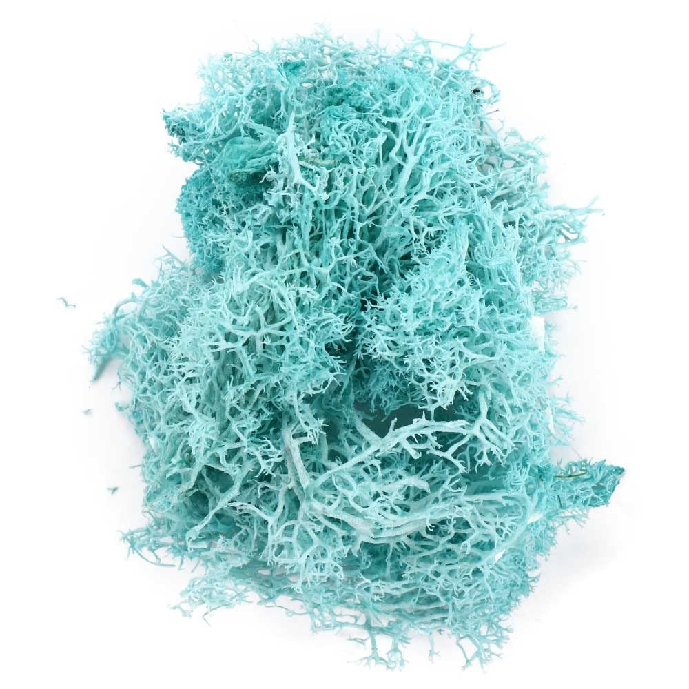 Artificial Green Plants, Eternal Life, Moss Grass, for Home, Living Room, Garden, Decoration, Mini Landscape, Crafting (Sky Blue), 20g
