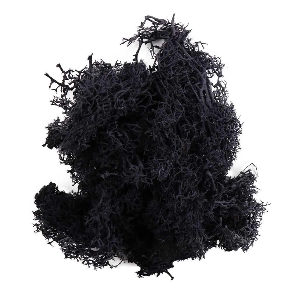 Artificial Green Plants, Eternal Life, Moss, Grass, Home Decoration