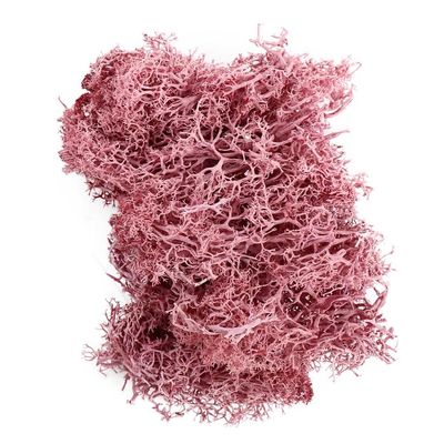 Artificial Green Plants - Moss Grass