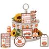 AHANDMAKER 16-Piece Fall Pumpkin Tiered Tray Decor Set view 1