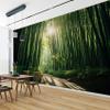 PaxGloz Bamboo Forest Photo Wallpaper, Zen Bamboo Non-Woven Wall Mural, 250 x 175 cm (W x H) view 3