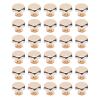 30 Sets Mini Zinc Alloy Flat-Head Purse Bottom Rivets and Screws (Gold) view 1