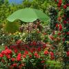 Outdoor Plant Protection Umbrella, Adjustable UV-Resistant Garden Shade view 4