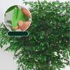 ZenSeFarin Large Artificial Banyan Tree, Realistic Wood Trunk and Green Foliage, Low-Maintenance, 2 x 2.5 m / 6.6 x 8.2 ft view 4