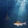 Fishing Bait Holder and Trap Cage for Freshwater and Saltwater view 2