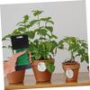 IMIKEYA Green Multipurpose Plant Tie, 1 Roll for Securing and Supporting view 3