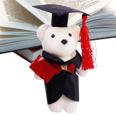 Graduation Teddy Bear - Craft Material for Sitting with Signature Area