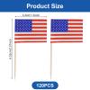 120 Pack American Flag Toothpicks view 2