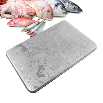 Stainless Steel Ice Cube Tray, Reusable Steel Cold Packs for Food &