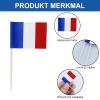 120 French Flag Toothpicks view 3