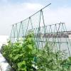 Plant Support, Tall Garden Trellis view 3