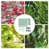 Plant Support, Tall Garden Trellis view 4